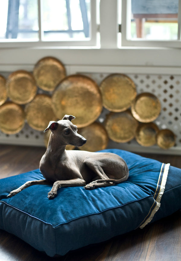 Oh Charlie Square Dog Pillow Allure Dog Bed Oh Charlie Silver Circle Pets