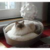 Pet Interiors ARENA Felt Designer Cat Bed Cat Bed Pet Interiors Silver Circle Pets