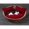 Pet Interiors Braided Cat Basket SIRO Saleen Cat Bed Pet Interiors Silver Circle Pets