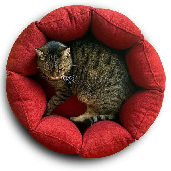 Pet Interiors Calming Cat Nest BLOOM Cat Bed Pet Interiors Silver Circle Pets