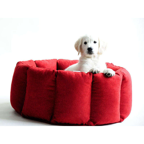 Pet Interiors Calming Dog Nest BLOOM Dog Bed Pet Interiors Silver Circle Pets