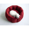 Pet Interiors Calming Dog Nest BLOOM Dog Bed Pet Interiors Silver Circle Pets