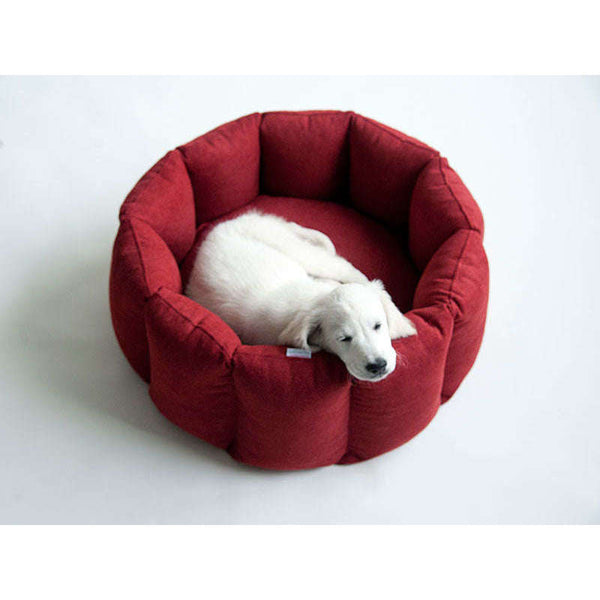 Pet Interiors Calming Dog Nest BLOOM Dog Bed Pet Interiors Silver Circle Pets