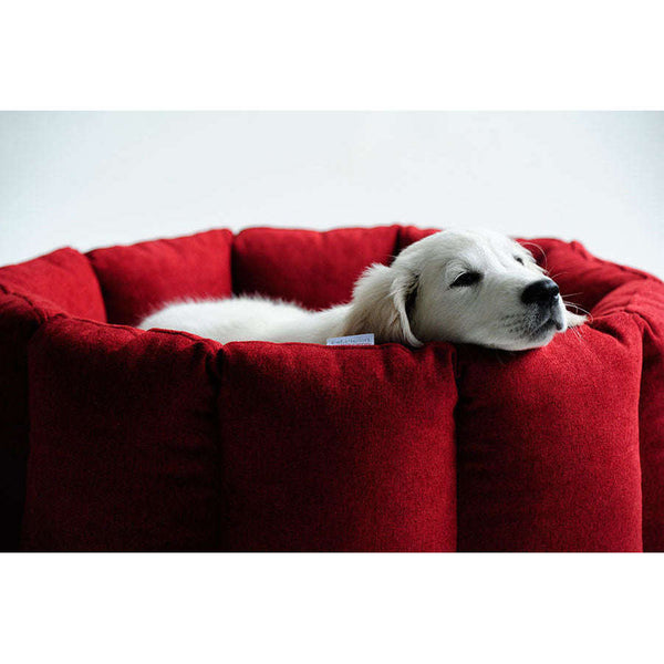 Pet Interiors Calming Dog Nest BLOOM Dog Bed Pet Interiors Silver Circle Pets