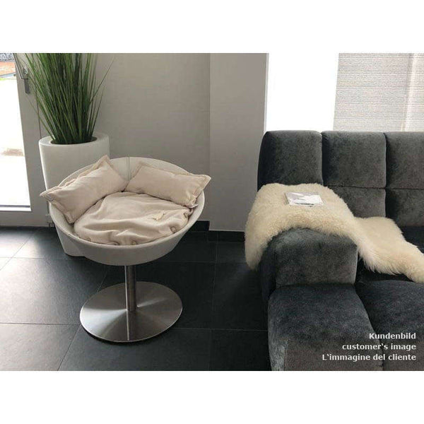 Pet Interiors Cosmo Buffalo Leather Deluxe Cat Bed Cat Bed Pet Interiors Silver Circle Pets