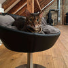Pet Interiors Cosmo Leather Deluxe Cat Bed Cat Bed Pet Interiors Silver Circle Pets