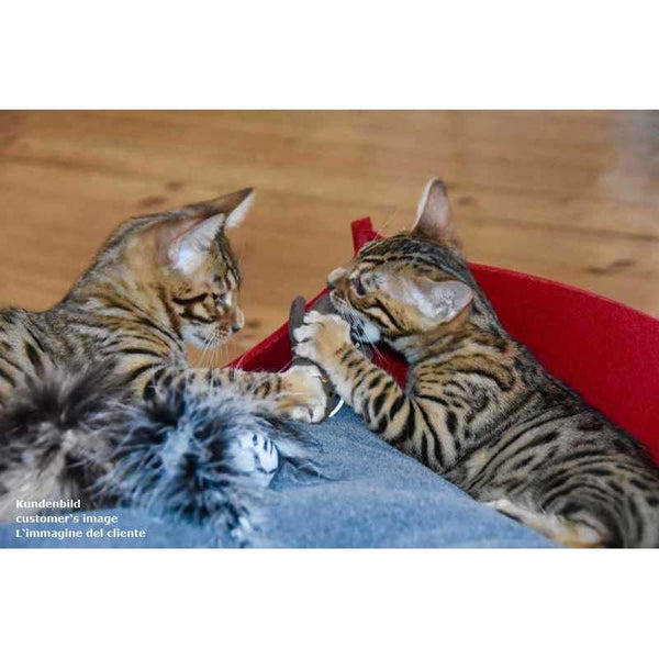 Pet Interiors Felt Cat Basket BOWL Cat Bed Pet Interiors Silver Circle Pets