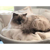 Pet Interiors Leather Pet Bed MILA Cat Bed Pet Interiors Silver Circle Pets