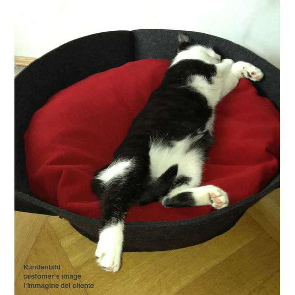Pet Interiors NOOK Felt Designer Cat Bed Cat Bed Pet Interiors Silver Circle Pets