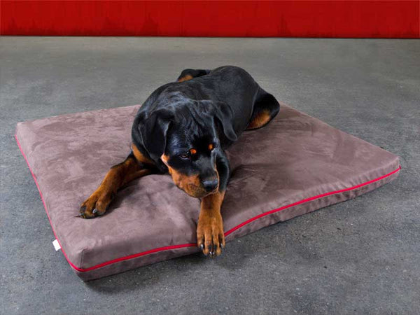 Pet Interiors Orthopedic Dog Mattress MARY Dog Bed Pet Interiors Silver Circle Pets