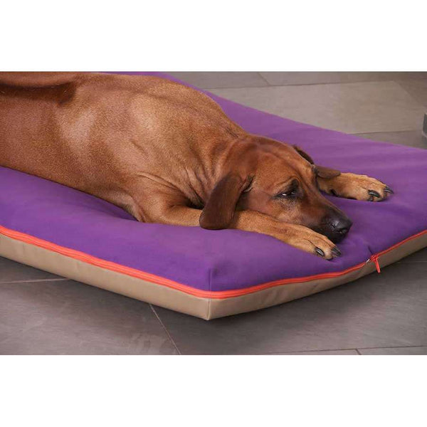 Pet Interiors Orthopedic Dog Mattress& Blanket PAUL Dog Bed Pet Interiors Silver Circle Pets