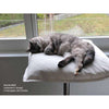 Pet Interiors Poet Designer Cat Bed Cat Bed Pet Interiors Silver Circle Pets