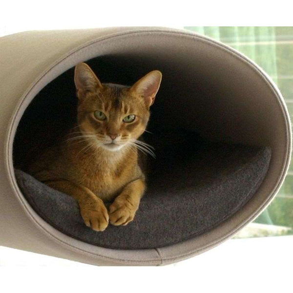 Pet Interiors Rondo Felt Cat Wall Climber Cat Bed Pet Interiors Silver Circle Pets