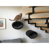 Pet Interiors Rondo Felt Cat Wall Climber Cat Bed Pet Interiors Silver Circle Pets