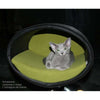 Pet Interiors Rondo Leather Cat Bed Stand Cat Bed Pet Interiors Silver Circle Pets