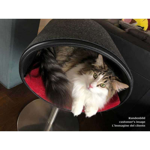 Pet Interiors Rondo Leather Cat Bed Stand Cat Bed Pet Interiors Silver Circle Pets