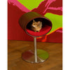 Pet Interiors Rondo Leatherette Cat Bed Stand Cat Bed Pet Interiors Silver Circle Pets