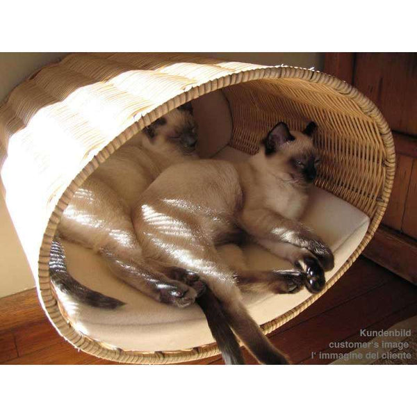 Pet Interiors Rondo Wicker Cat Wall Climber Cat Bed Pet Interiors Silver Circle Pets