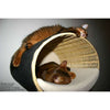 Pet Interiors Rondo Wicker Cat Wall Climber Cat Bed Pet Interiors Silver Circle Pets
