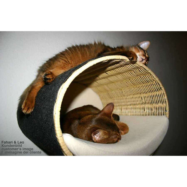 Pet Interiors Rondo Wicker Cat Wall Climber Cat Bed Pet Interiors Silver Circle Pets