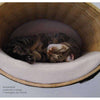 Pet Interiors Rondo Wicker Cat Wall Climber Cat Bed Pet Interiors Silver Circle Pets