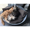 Pet Interiors Unique Cat Basket SIRO Twist Cat Bed Pet Interiors Silver Circle Pets