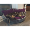 Pet Interiors Unique Cat Basket SIRO Twist Cat Bed Pet Interiors Silver Circle Pets