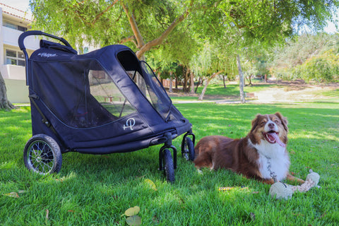 Petique Apollo Pet Stroller incl. Free Rain Cover & Bike Adapter Pet Strollers Petique Silver Circle Pets