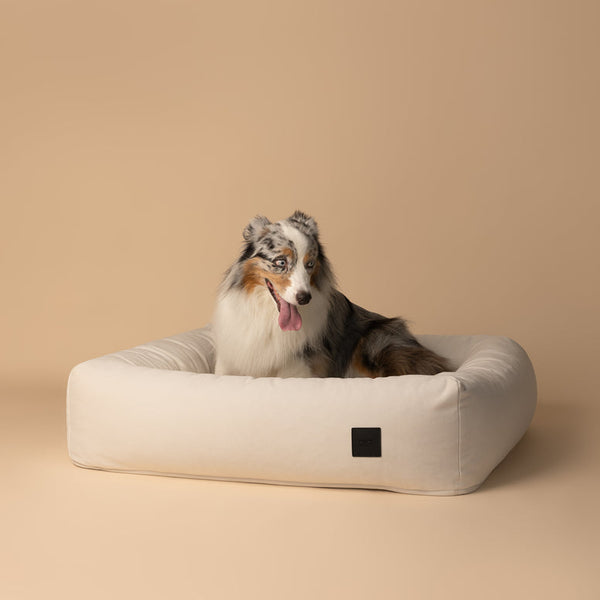 PillowVilla Dog Bed DREAM Velvet Dog Bed PillowVilla Silver Circle Pets