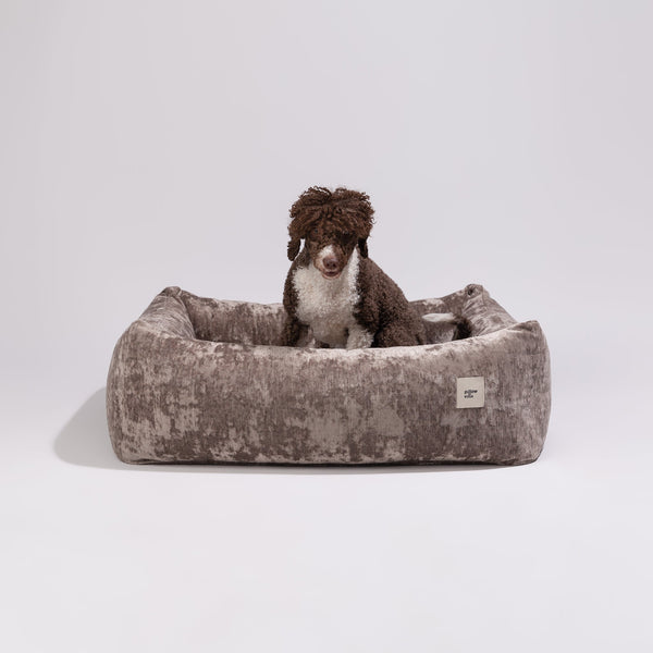 PillowVilla Memory Foam Dog Bed LOUNGE Dog Bed PillowVilla Silver Circle Pets