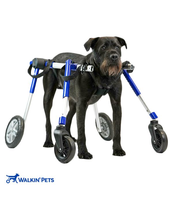 Walkin’ Wheels Full Support/4-Wheel MEDIUM (11 to 30 kg)