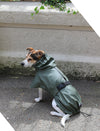 Raincoat Green raincoat Silver Circle Pets Silver Circle Pets
