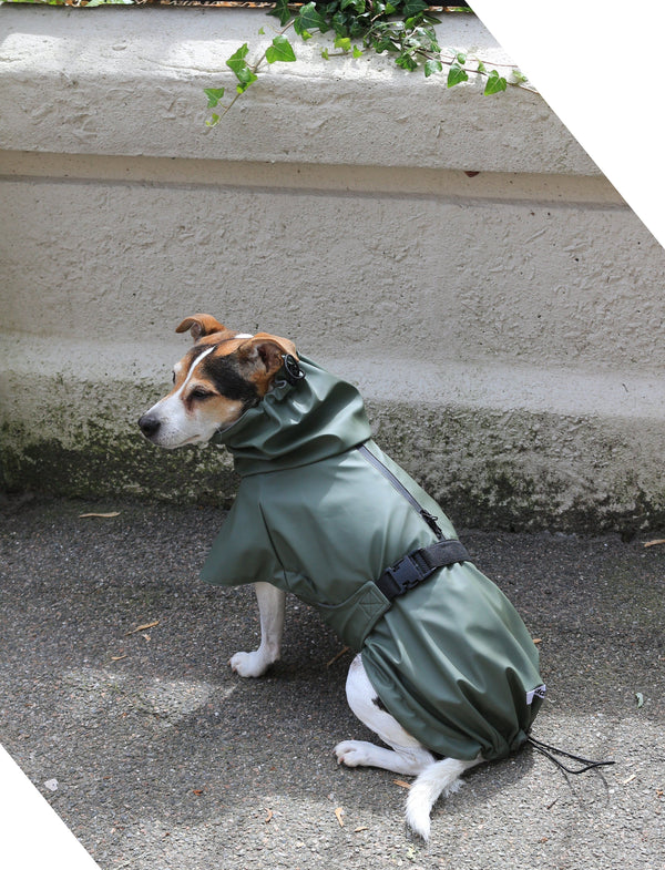 Raincoat Green raincoat Silver Circle Pets Silver Circle Pets