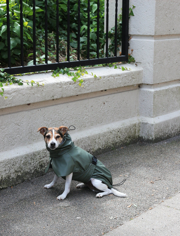 Raincoat Green raincoat Silver Circle Pets Silver Circle Pets