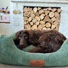 Baker & Bray Eco Luxe Orthopaedic Luxury Dog Bed