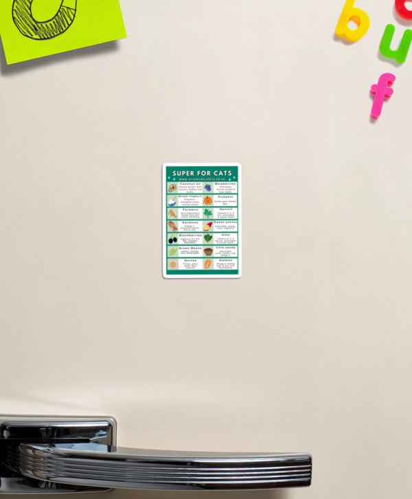 Silver Circle Pets Super Foods for Cats Fridge Magnet | Free Delivery