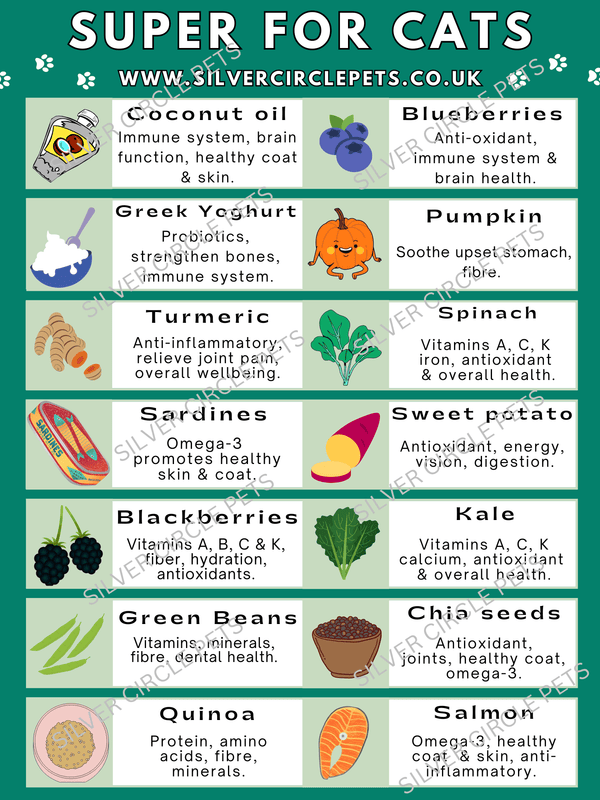 Silver Circle Pets Super Foods for Cats Fridge Magnet | Free Delivery