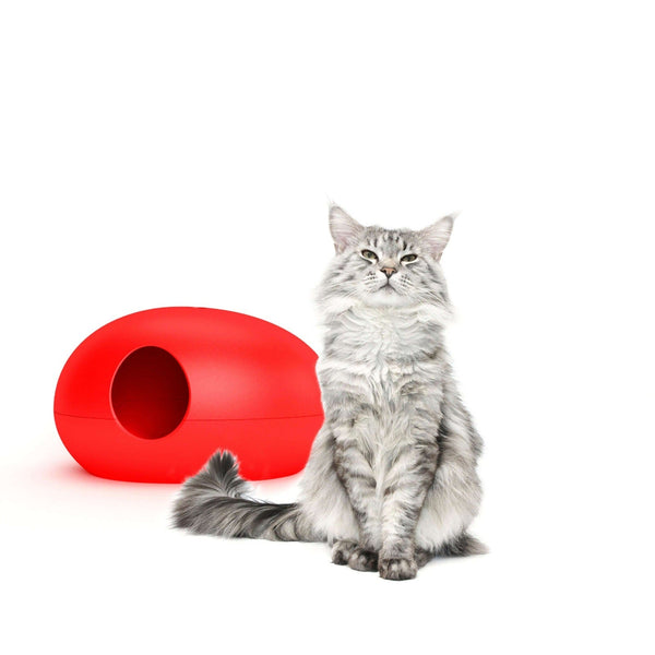 SinDesign Poopoopeedo Cat Litter Box, Silver Circle Pets, Cat Litter Box, SinDesign,