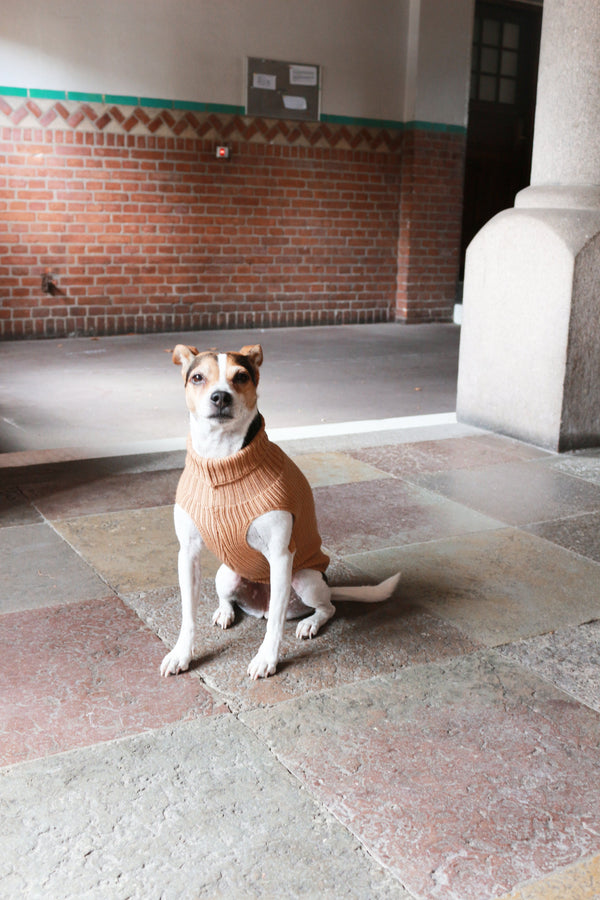 Tadazhi Female Dog Wool Sweater Dog Jumper tadazhi Silver Circle Pets