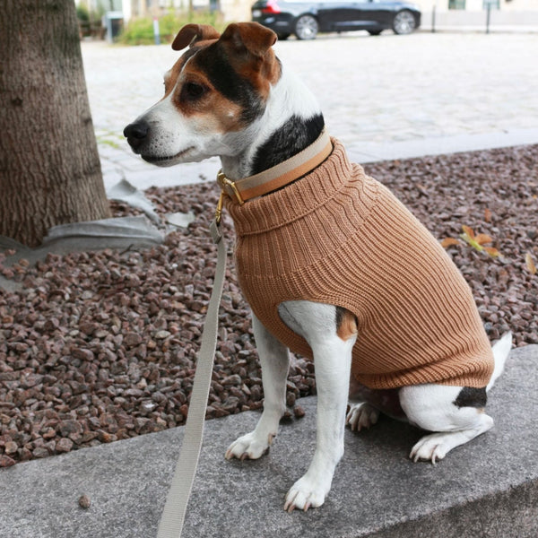 Tadazhi Unisex Wool Dog Sweater Dog Jumper tadazhi Silver Circle Pets