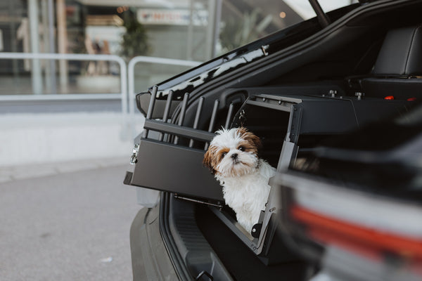 MIMsafe VarioCage Single Medium | 4th Gen Adjustable Dog Car Crate | Crash Tested
