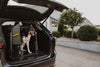 MIMsafe VarioCage Single Medium | 4th Gen Adjustable Dog Car Crate | Crash Tested