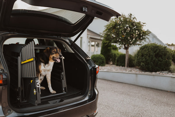 MIMsafe VarioCage Single Medium | 4th Gen Adjustable Dog Car Crate | Crash Tested