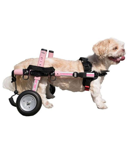 Walkin Wheels® SMALL Rear Dog Wheelchair (3.5 - 11kg)