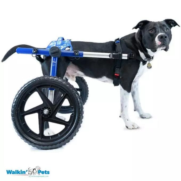 Walkin Wheels® -Buddy Up Rear Harness Dog Wheelchairs Walkin Wheels Silver Circle Pets