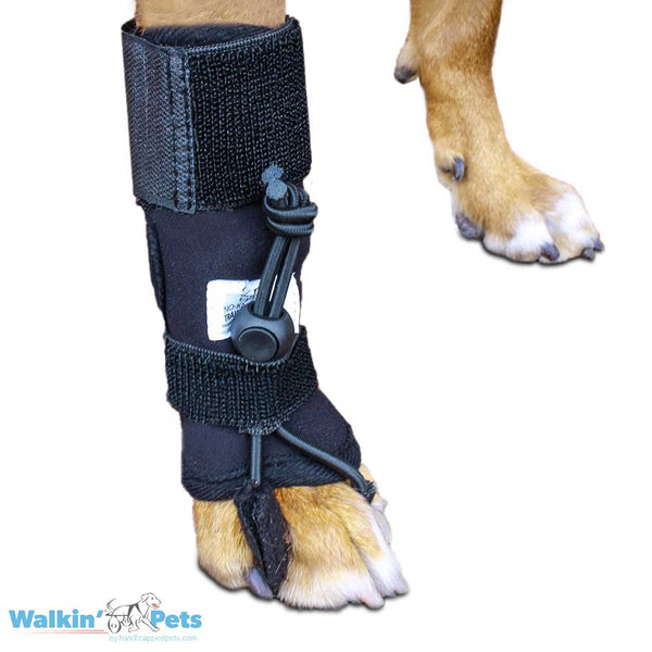 Walkin Wheels® - Front No-Knuckling Training Sock Dog Boots Walkin Wheels Silver Circle Pets