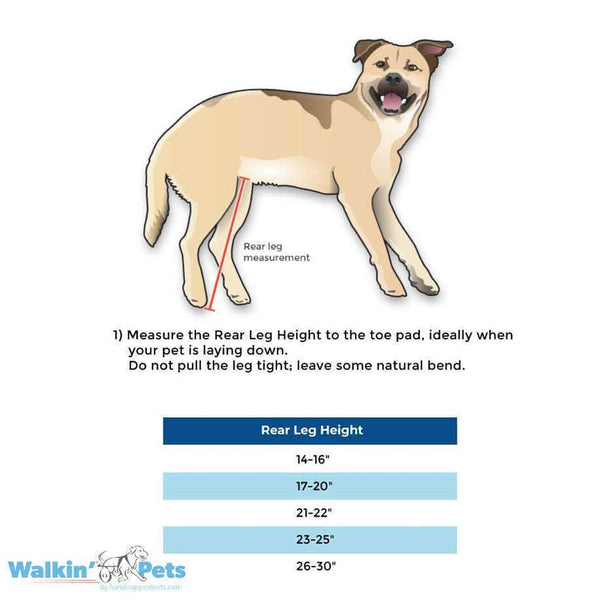 Walkin Wheels® Full Support/4-Wheel LARGE Dog Wheelchair Dog Wheel Chair Walkin Wheels Silver Circle Pets