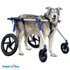 Walkin Wheels® Full Support/4-Wheel LARGE Dog Wheelchair Dog Wheel Chair Walkin Wheels Silver Circle Pets