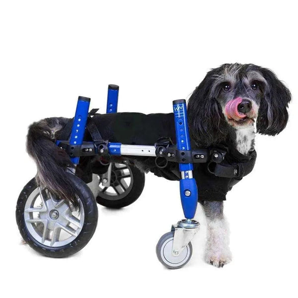 Walkin Wheels® Full Support/4-Wheel SMALL Dog Wheelchair Dog Wheel Chair Walkin Wheels Silver Circle Pets