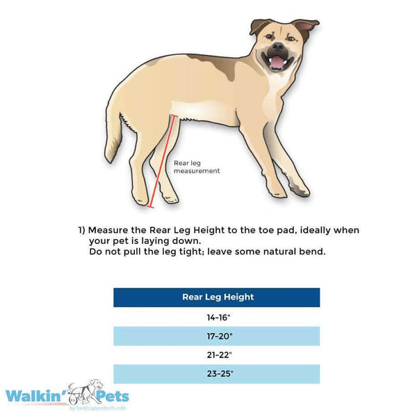 Walkin Wheels® LARGE Rear Dog Wheelchair Dog Wheel Chair Walkin Wheels Silver Circle Pets
